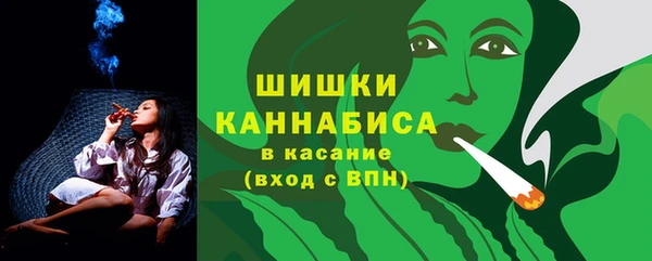 МДПВ Михайлов