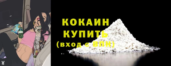 индика Ачинск