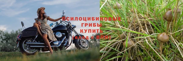 дмт Михайловск